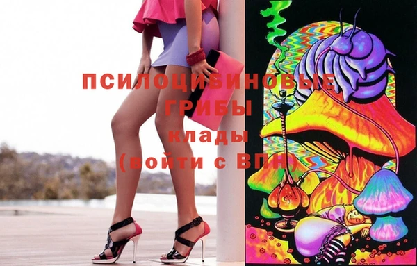 мдпв Нязепетровск