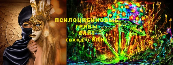 мдпв Нязепетровск
