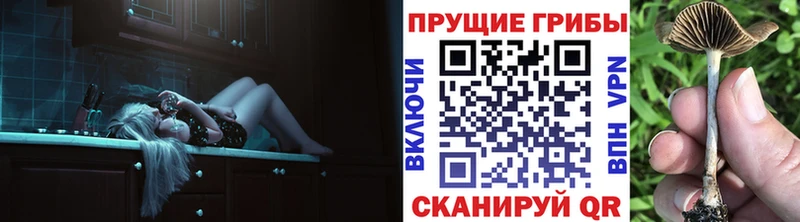 Псилоцибиновые грибы Magic Shrooms  закладки  Астрахань 