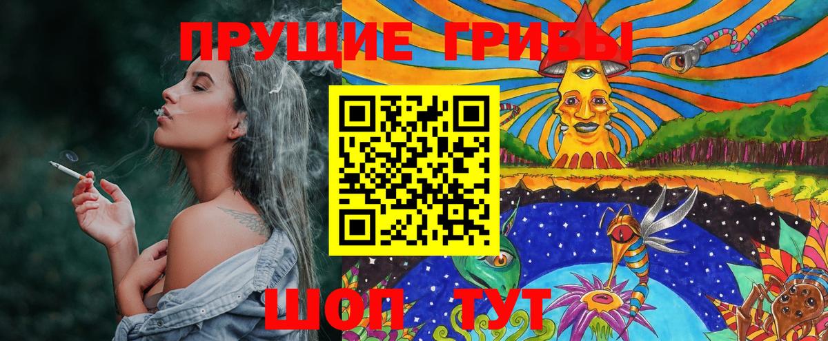 где продают наркотики  Астрахань  Галлюциногенные грибы Cubensis 