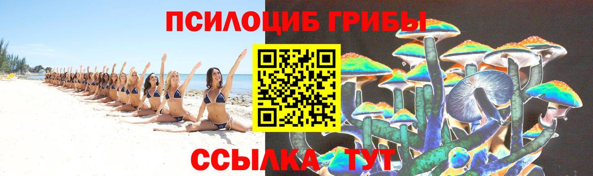 Псилоцибиновые грибы Psilocybine cubensis Астрахань
